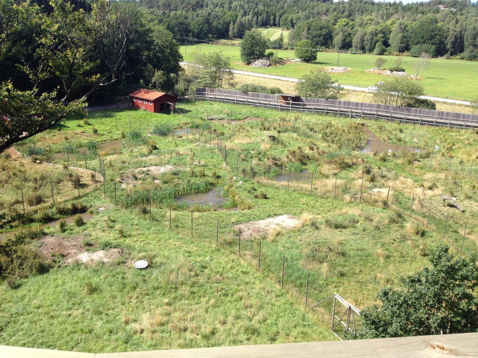 View over the Wetland and the crane field from the leopard boardwalk.