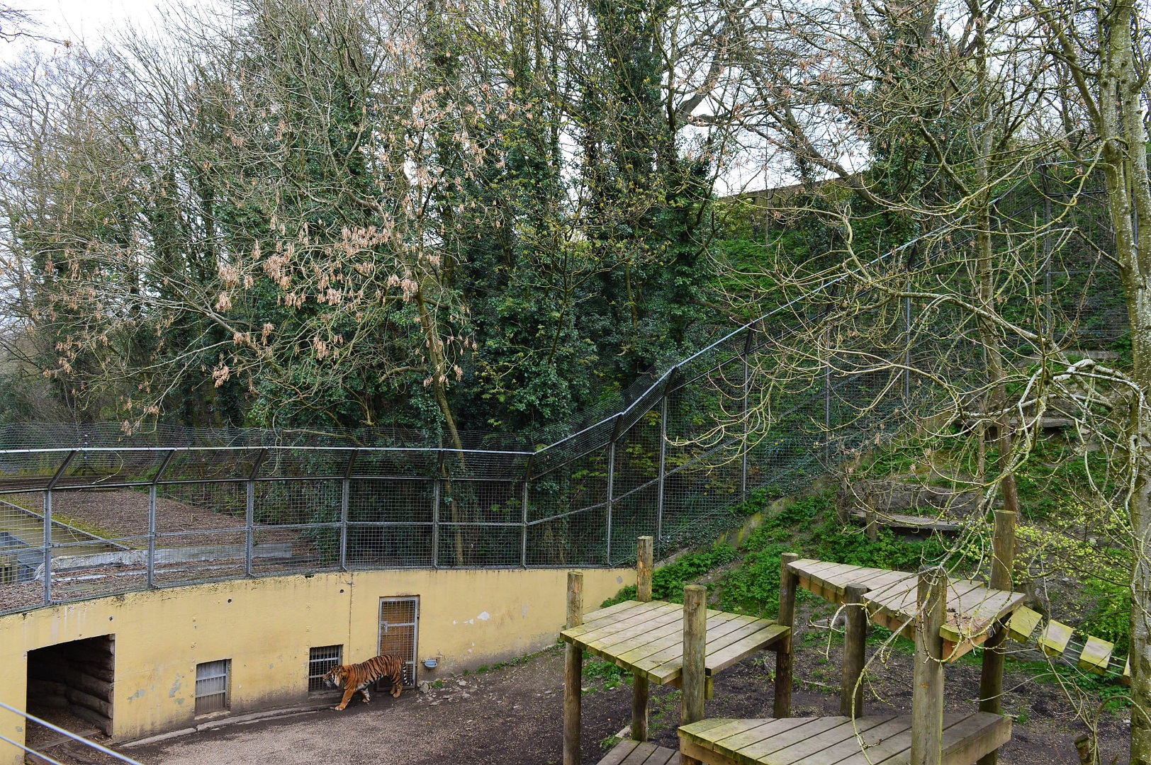 View over tiger dens.