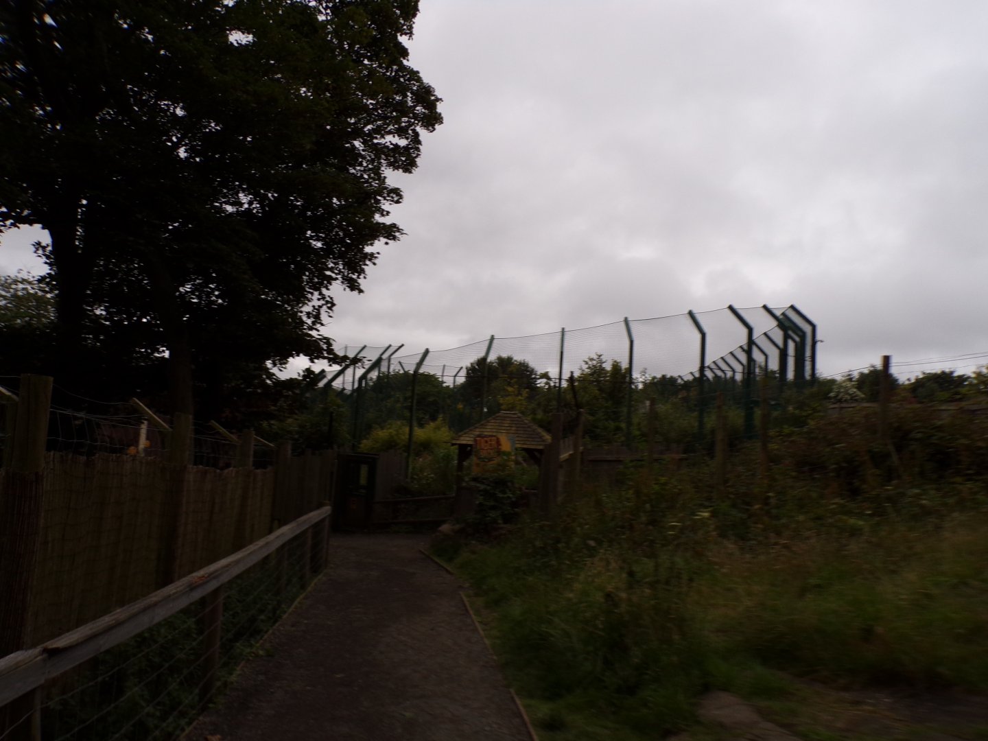 View over tiger tracks in the evening 22.7.23