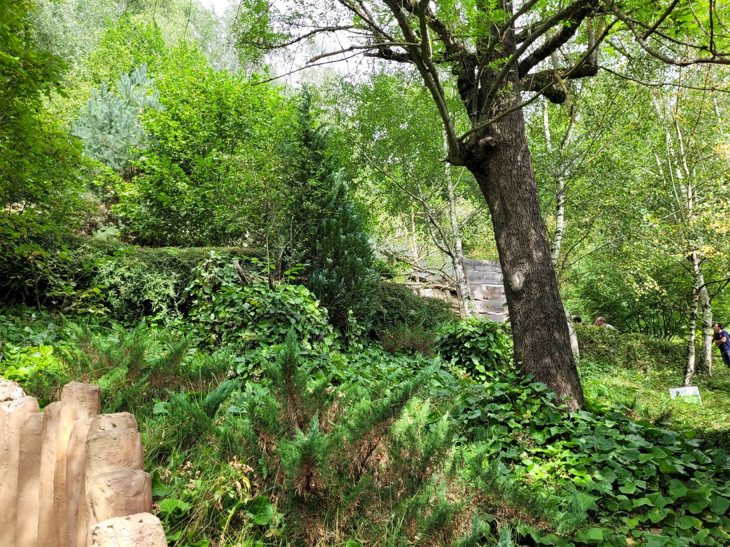 View -Parc Animalier des Pyrénées (2023)