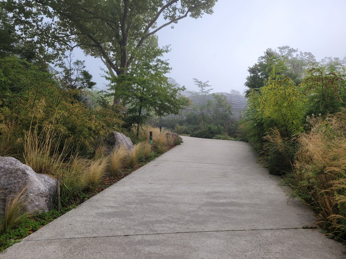 View -Parc Zoologique de Paris (2022)
