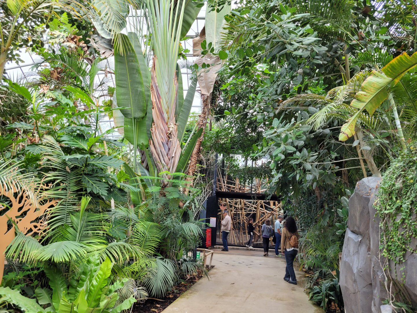 View -Parc Zoologique de Paris (2022)