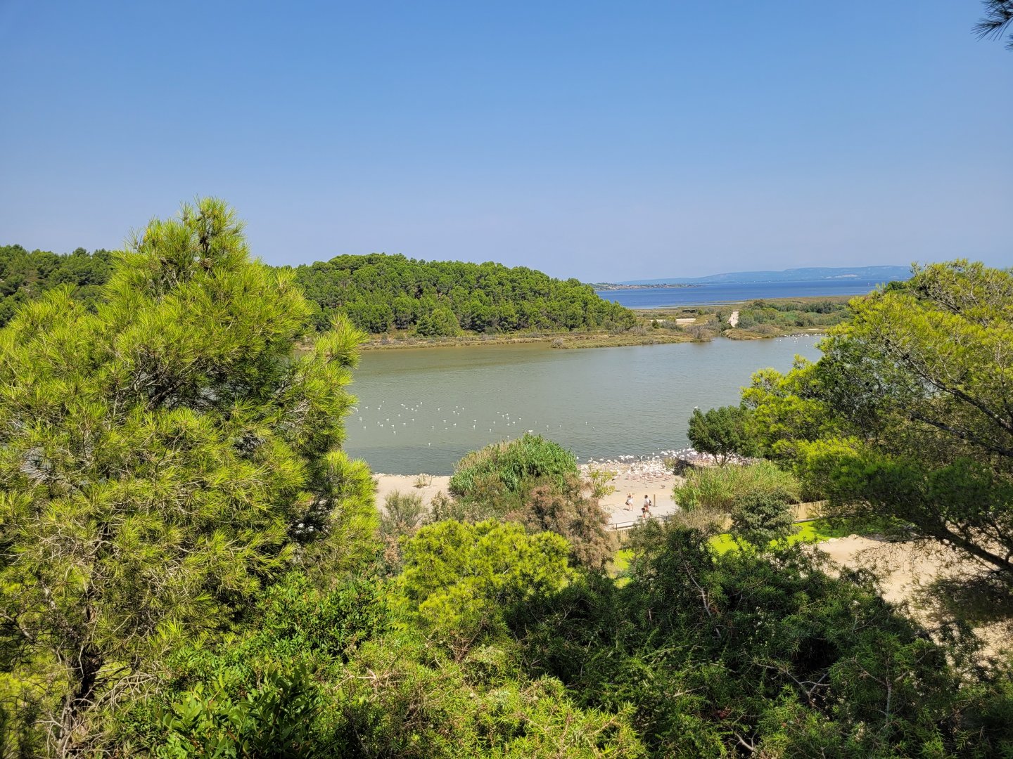 View -Réserve Africaine de Sigean (2022)