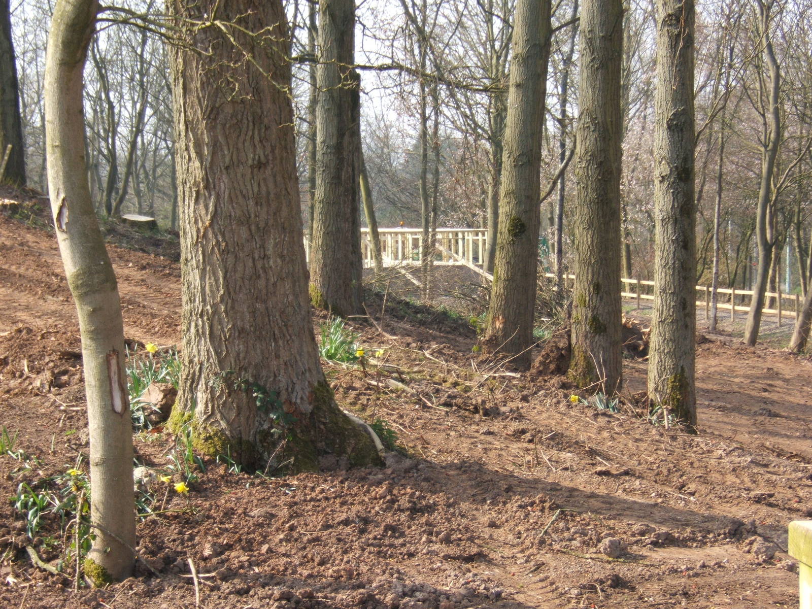 View showing the work on the house for the Iberian Wolves in the distance
