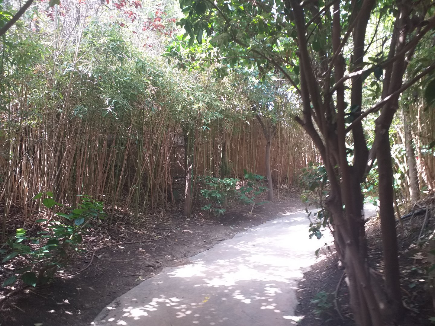 View -TerraNatura Benidorm (2021)