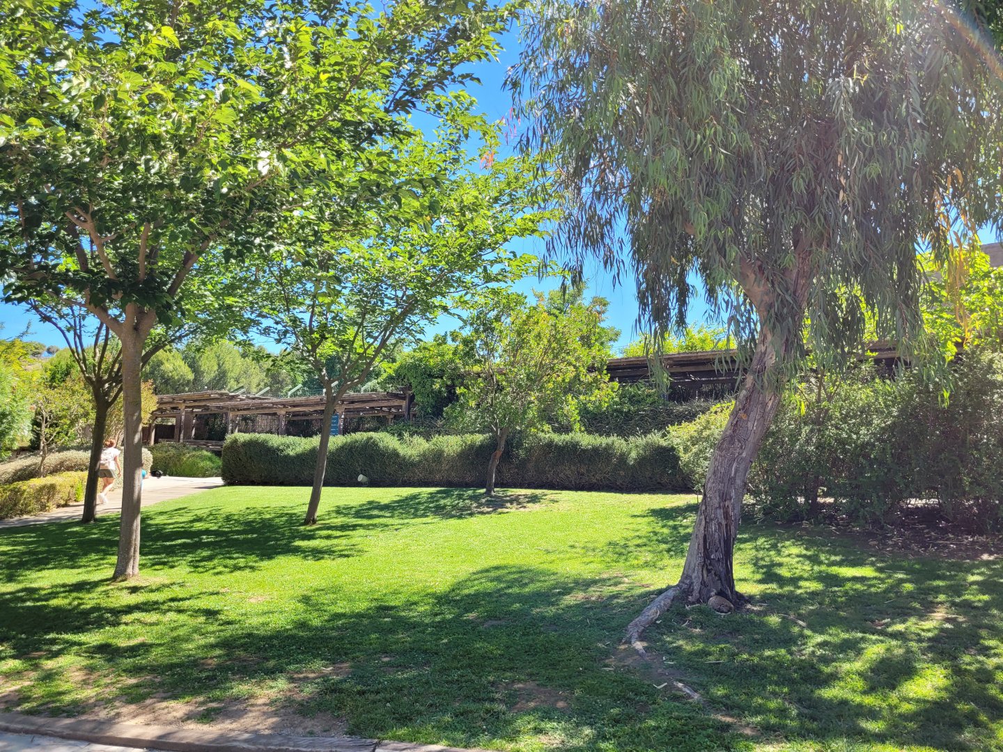 View thorwads big cats -Sendaviva (2024)