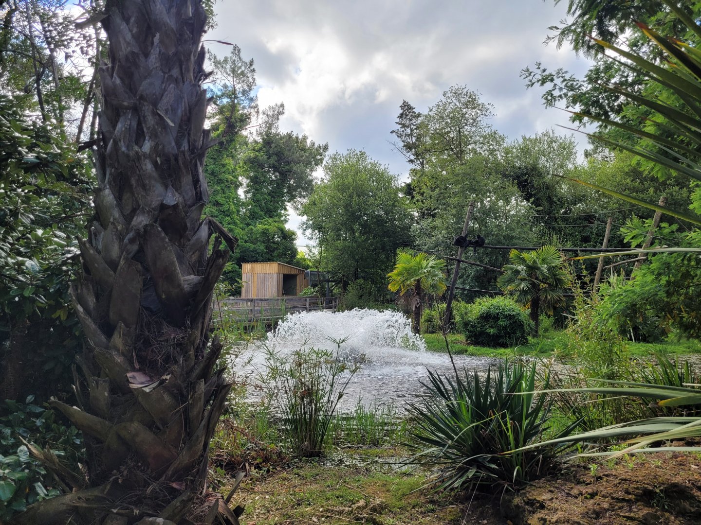 View thorwards monkey house -Zoo du bassin d'Arcachon (2024)