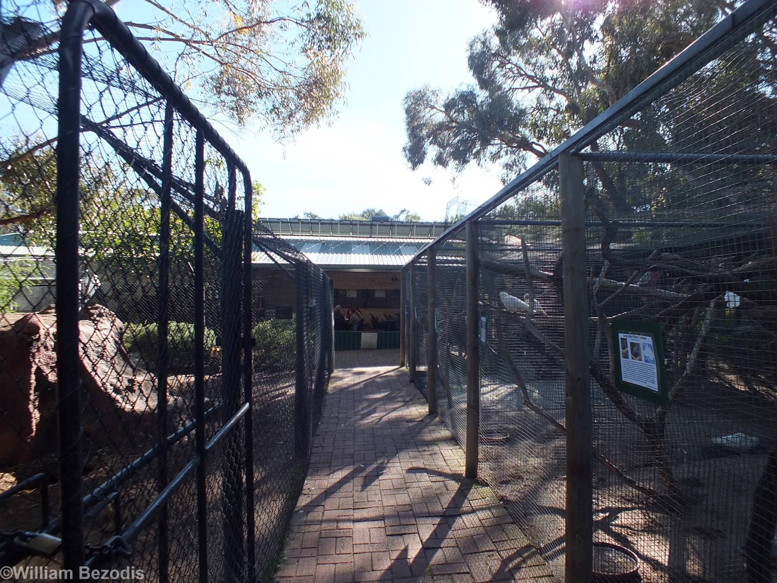 View through Aviaries Looking Back to Main Reptile Barn