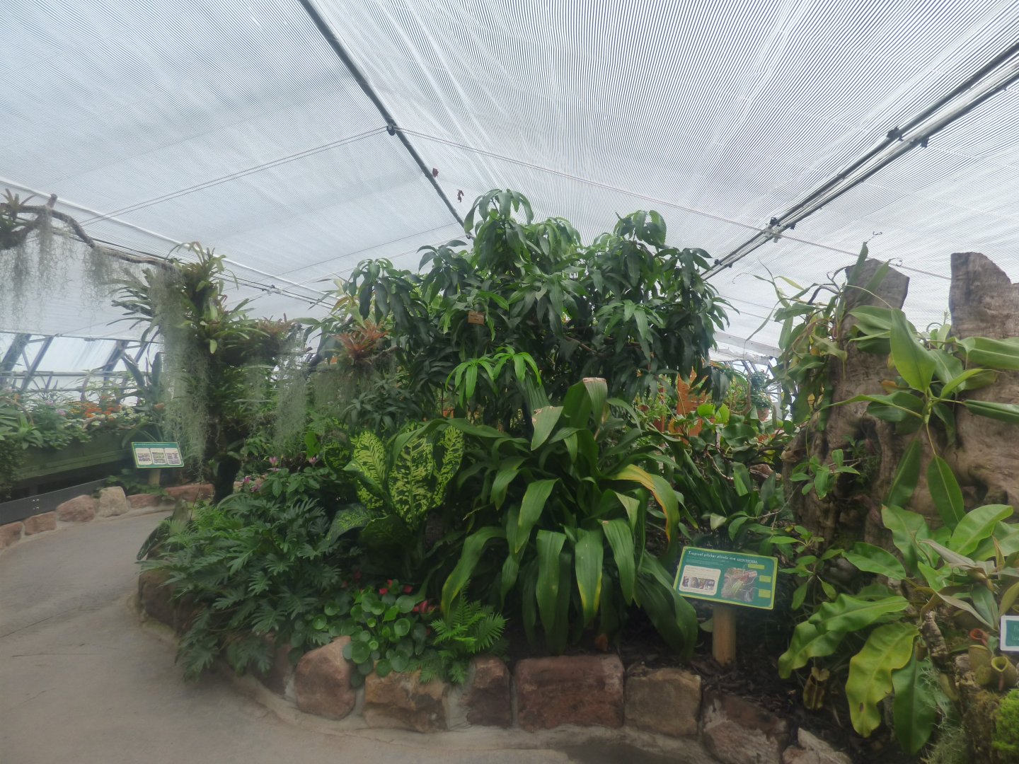 View through Entrance of 'The Plant Project'