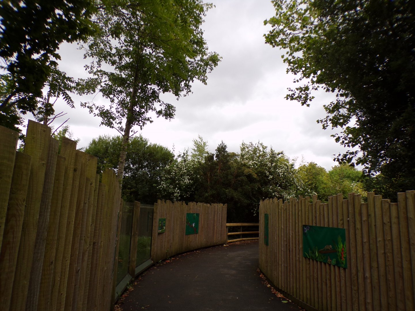 View through miniature monkeys 29.6.24