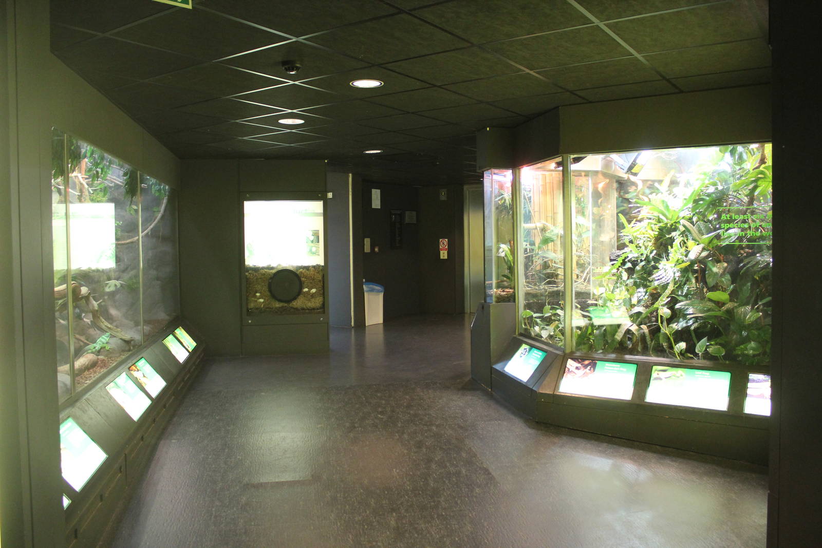 View through Vivarium