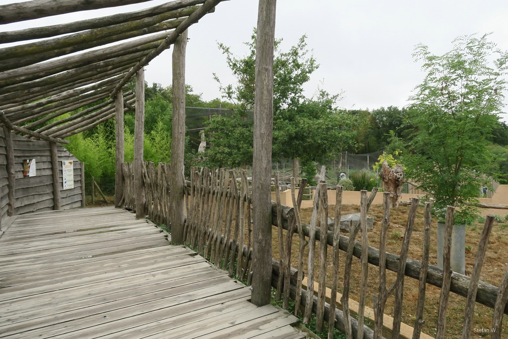 View to Bald Eagle aviary with meerkats on the right side