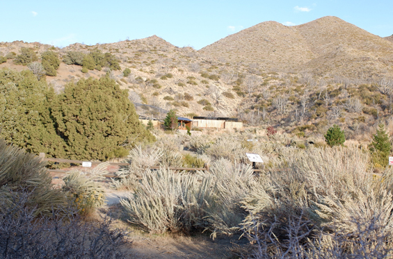 view to black bear exhibit