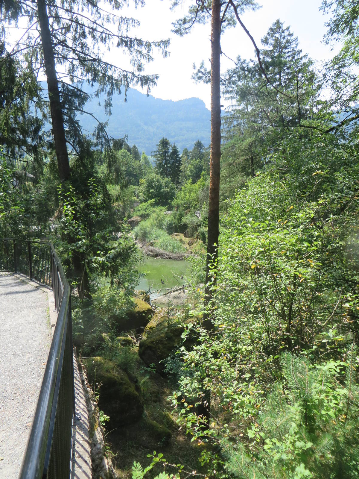 View to cormorant lake
