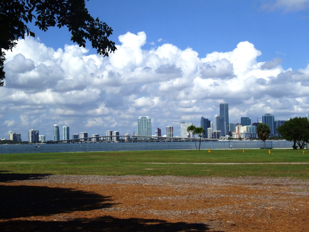 View to Downtown from Miami Seaquarium, 16/10/13