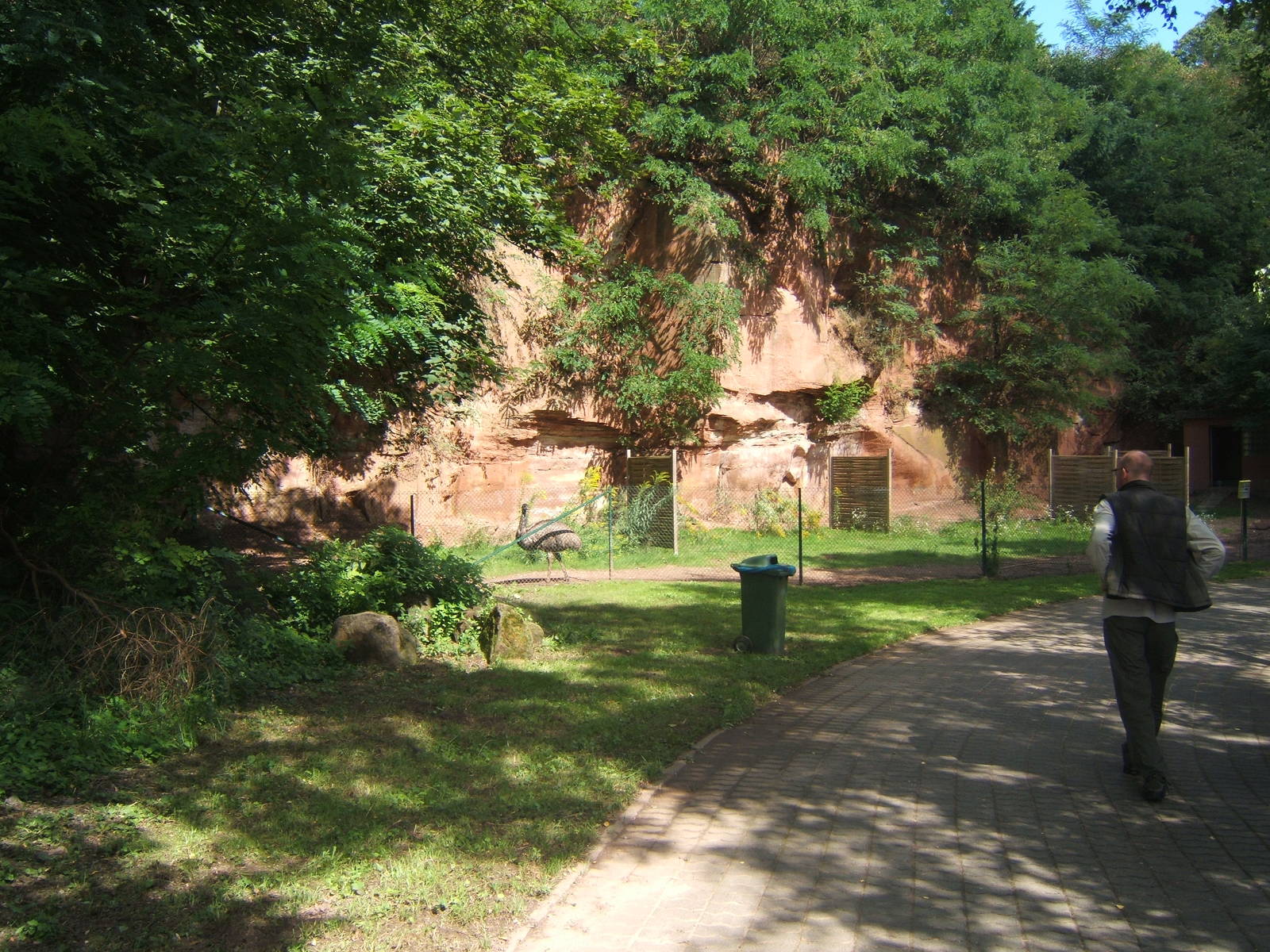 View to Emu enclosure