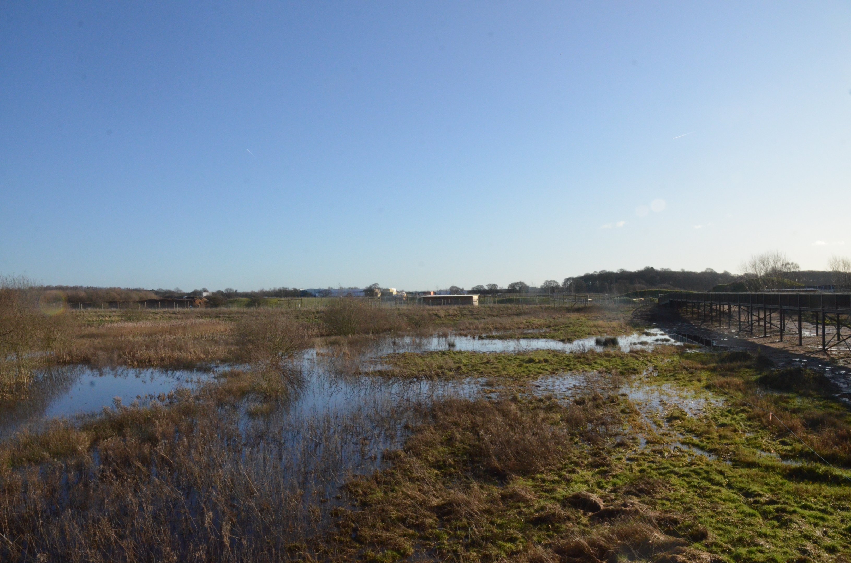 View to Extension Area (not yet accessible) at Yorkshire WP, 18/01/20