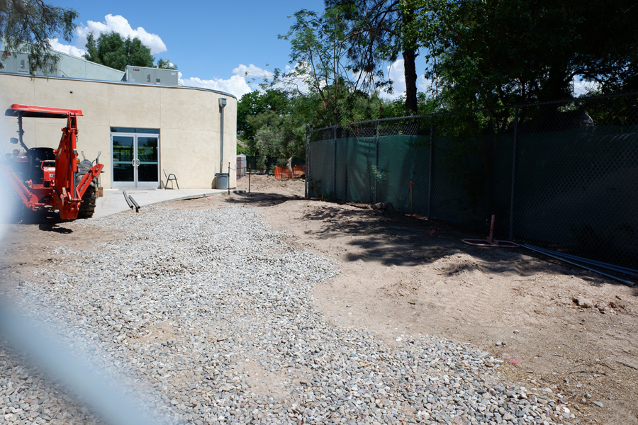 view to future flamingo