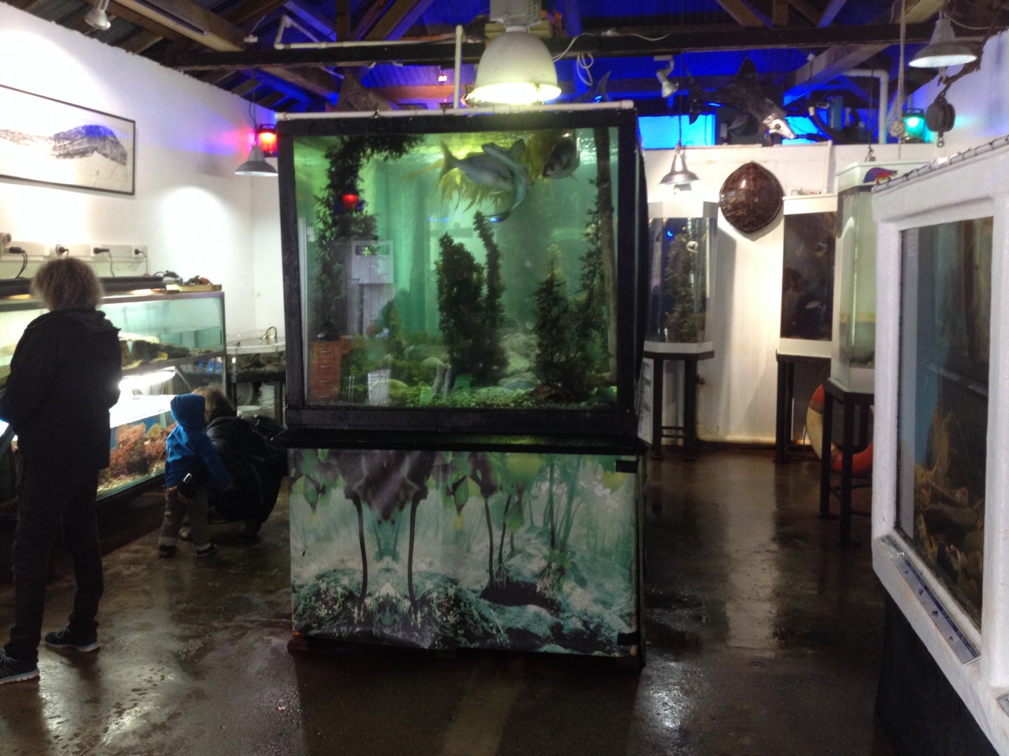 View to left of entrance