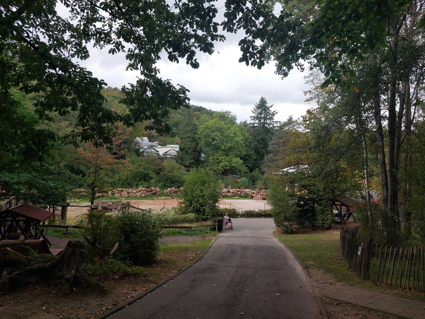 View to lower part of zoo