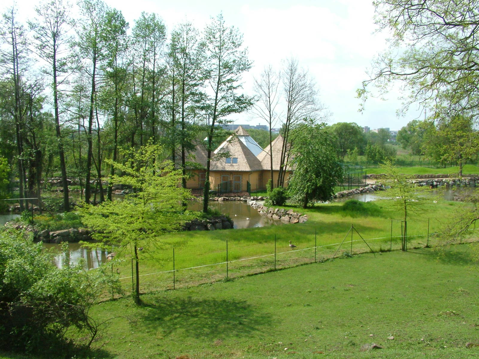 View to new Hippo/Cheetah House at Plzen, 25/05/10