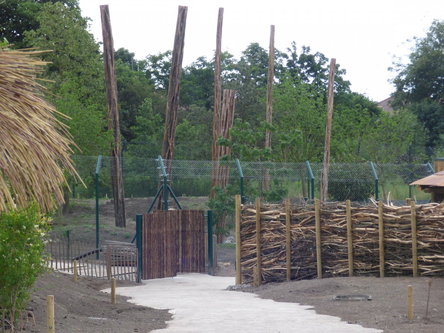 View to new Sun Bear enclosure