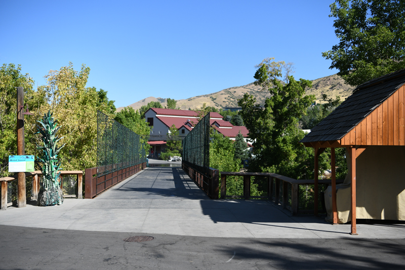 view to Rocky Shores