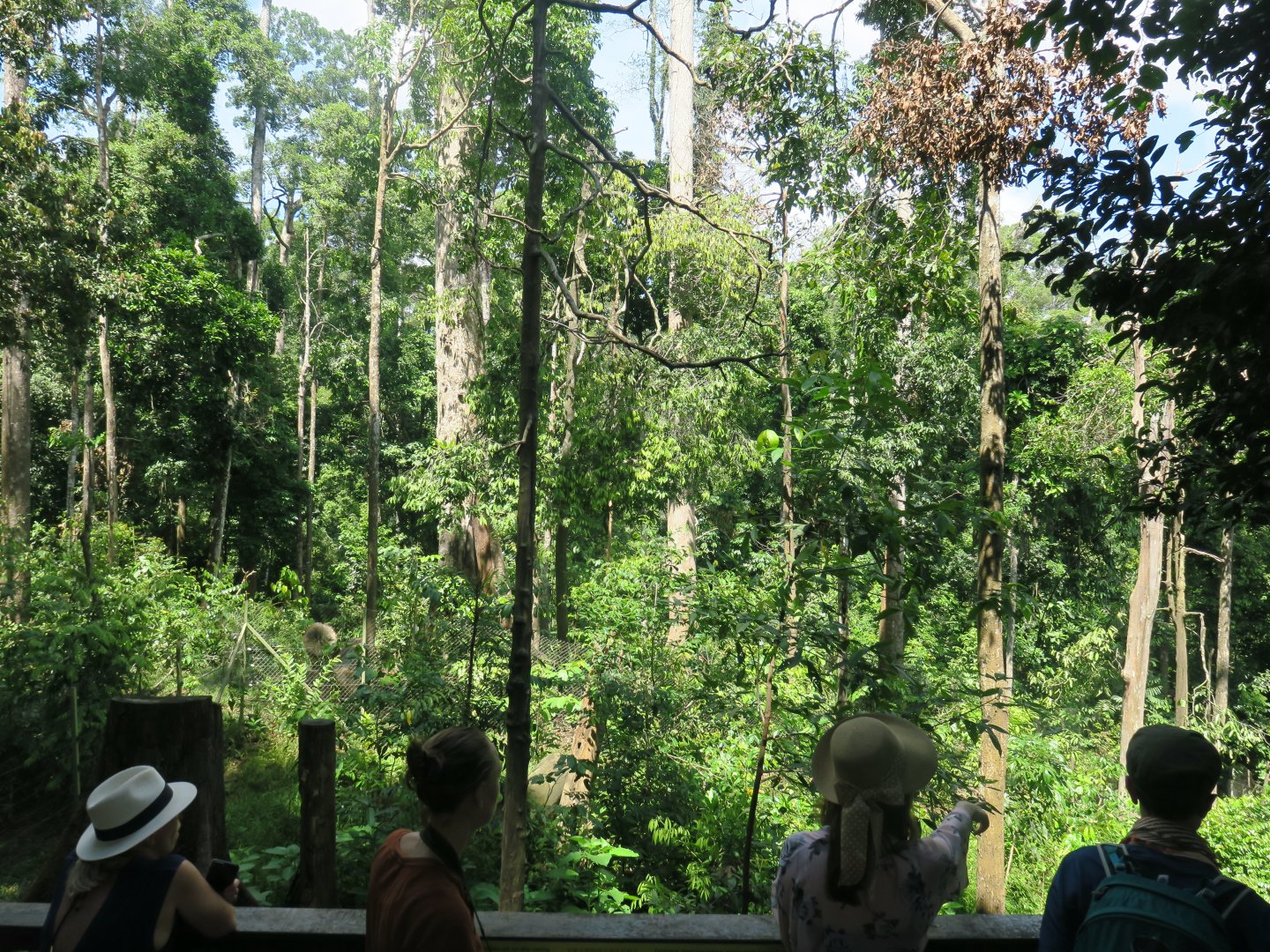 View to sun bear playground