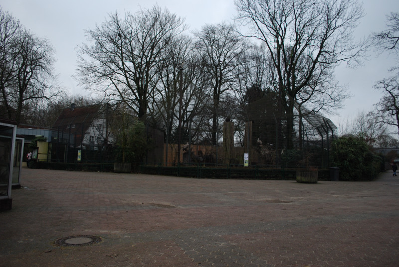 View to the Asia complex