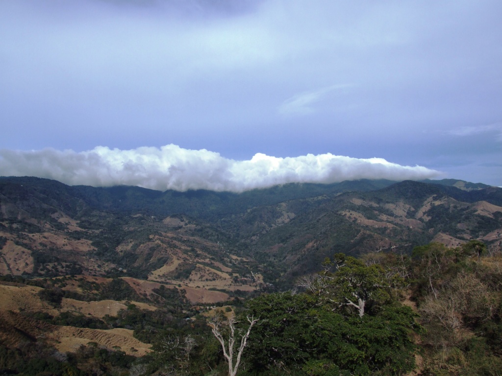 View to the Cloud Forest, 21/04/14
