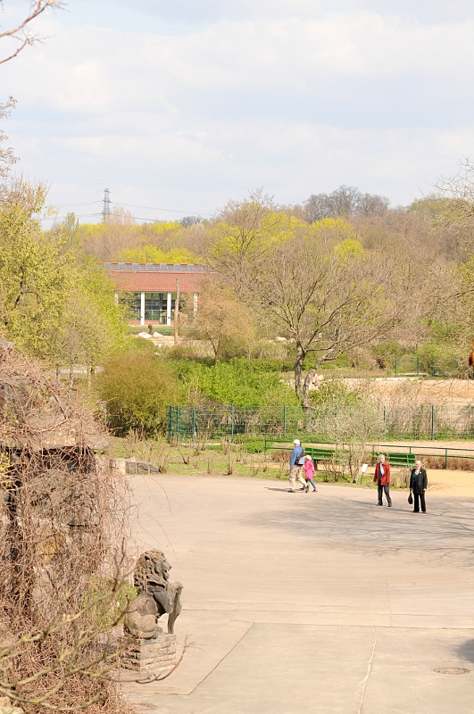View to the giraffe house from above the Brehm house