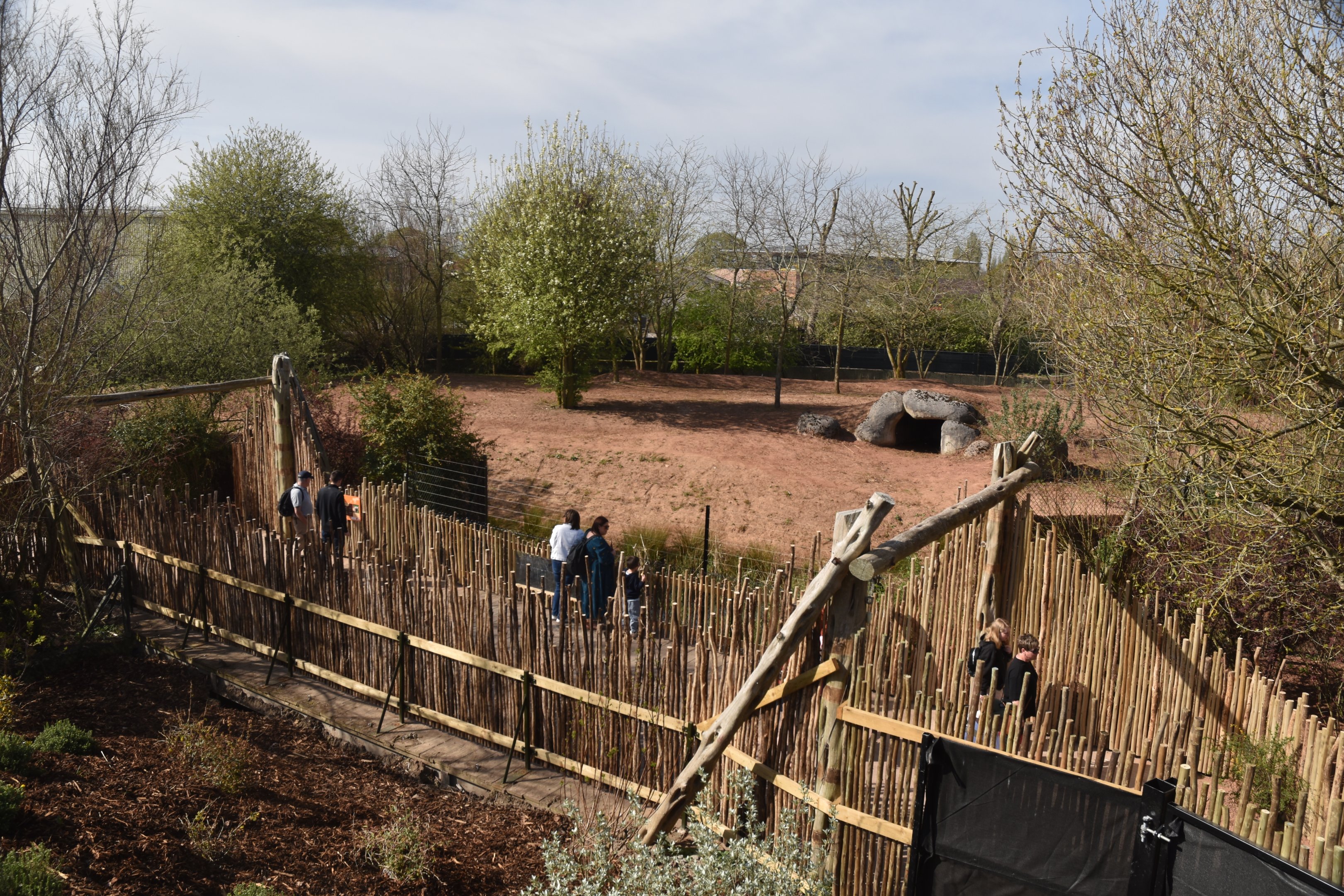View to Wild Dogs, Heart of Africa at Chester, 12th April 2025