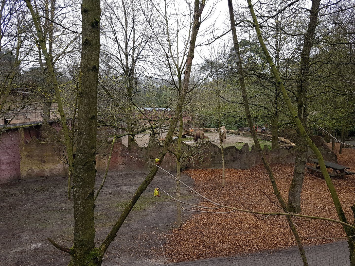 View toward camel-enclosure