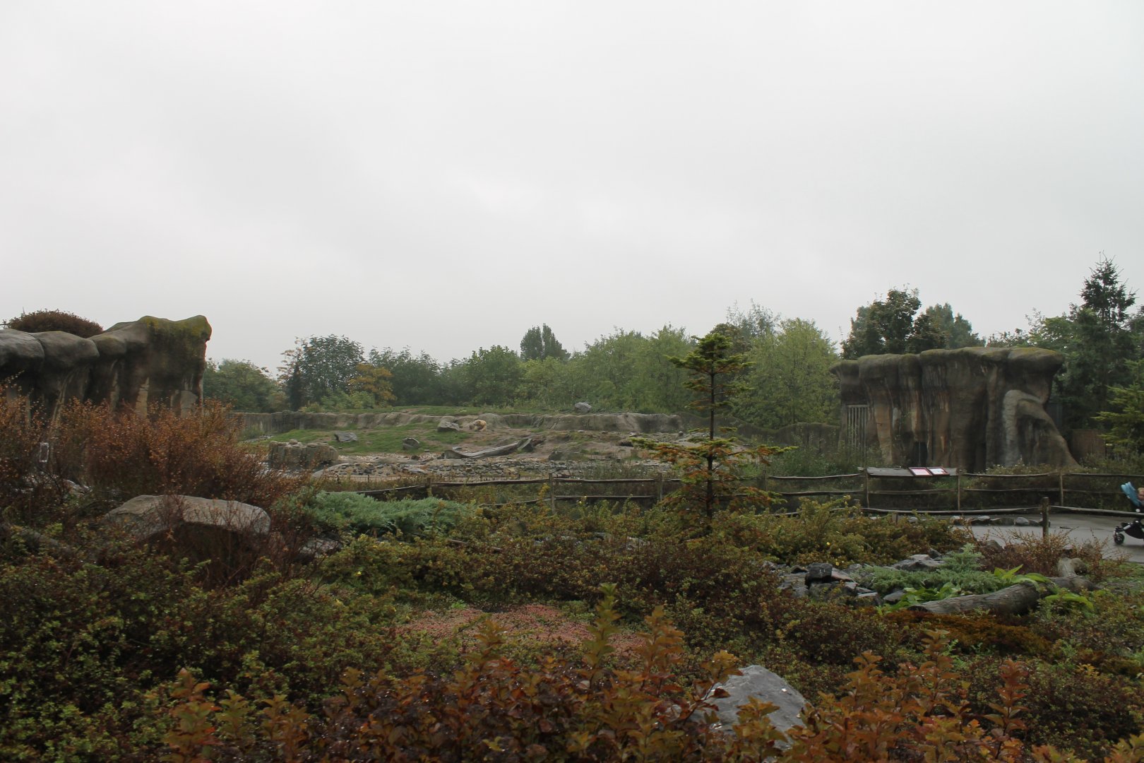 View toward Polar bear-enclosure