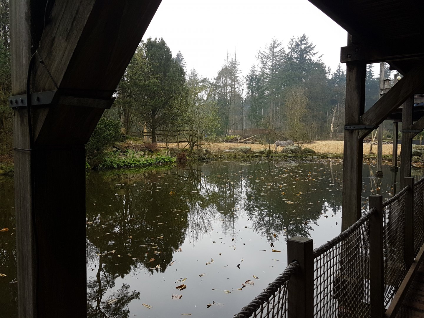 View toward the African plain