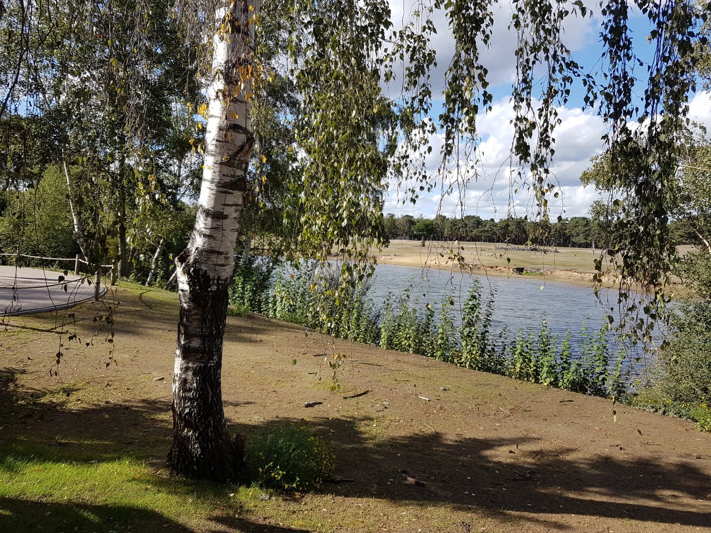 View toward the Asian plain