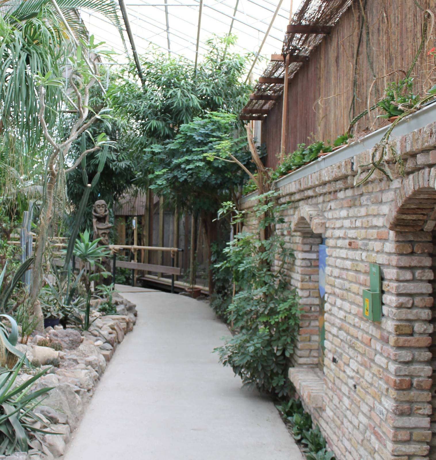 View toward the Marmoset enclosure