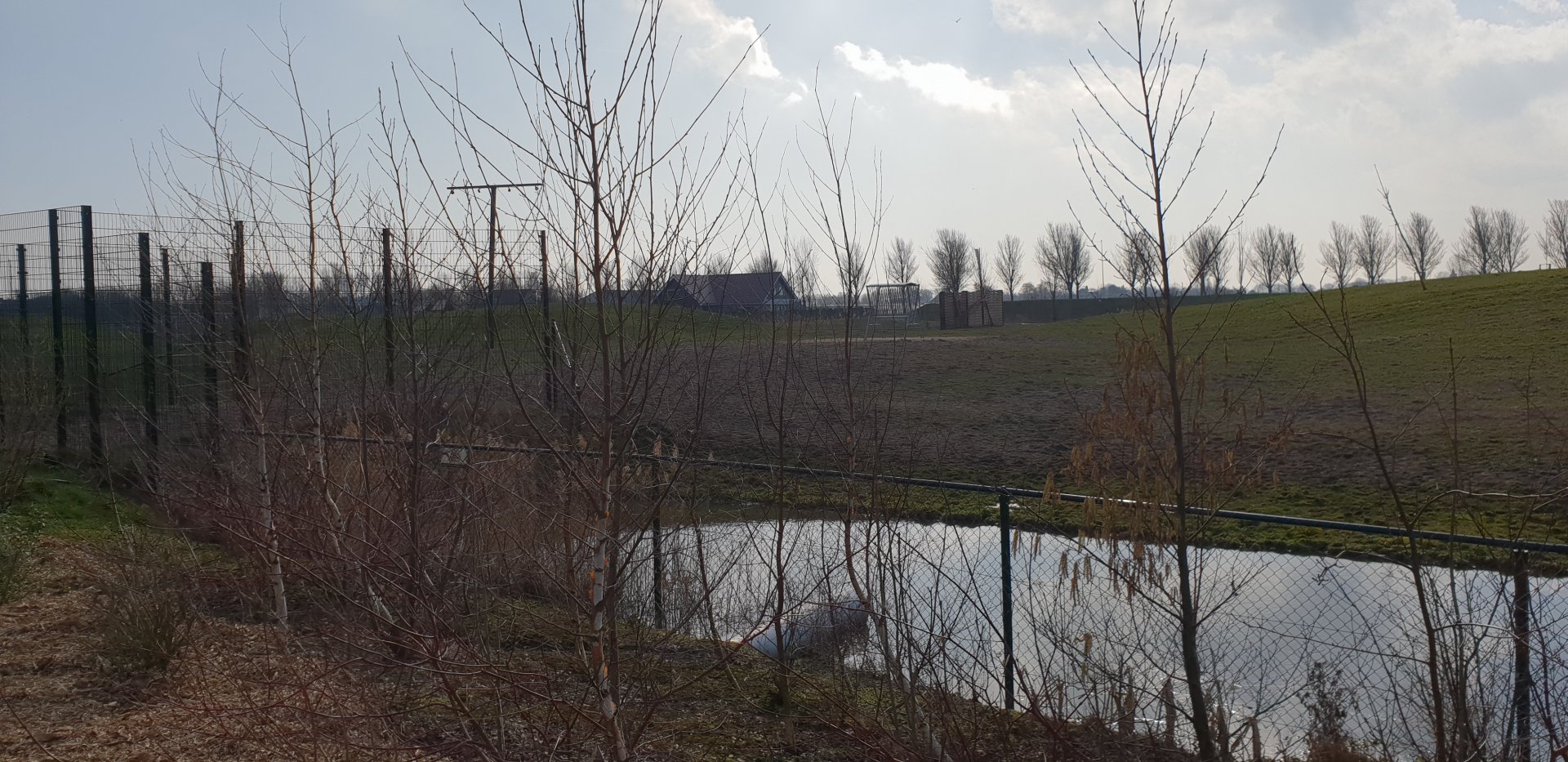 View towards African Savanna