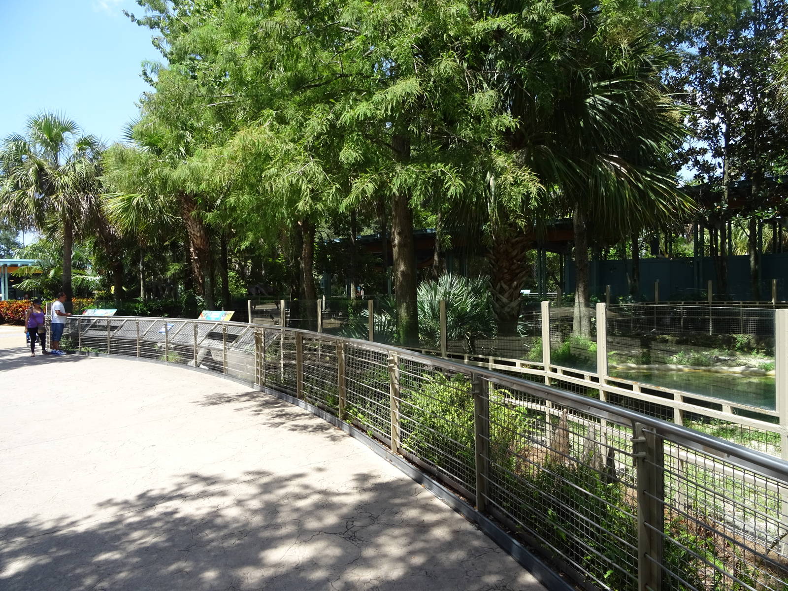 View Towards Alligator Exhibit at SeaWorld Orlando