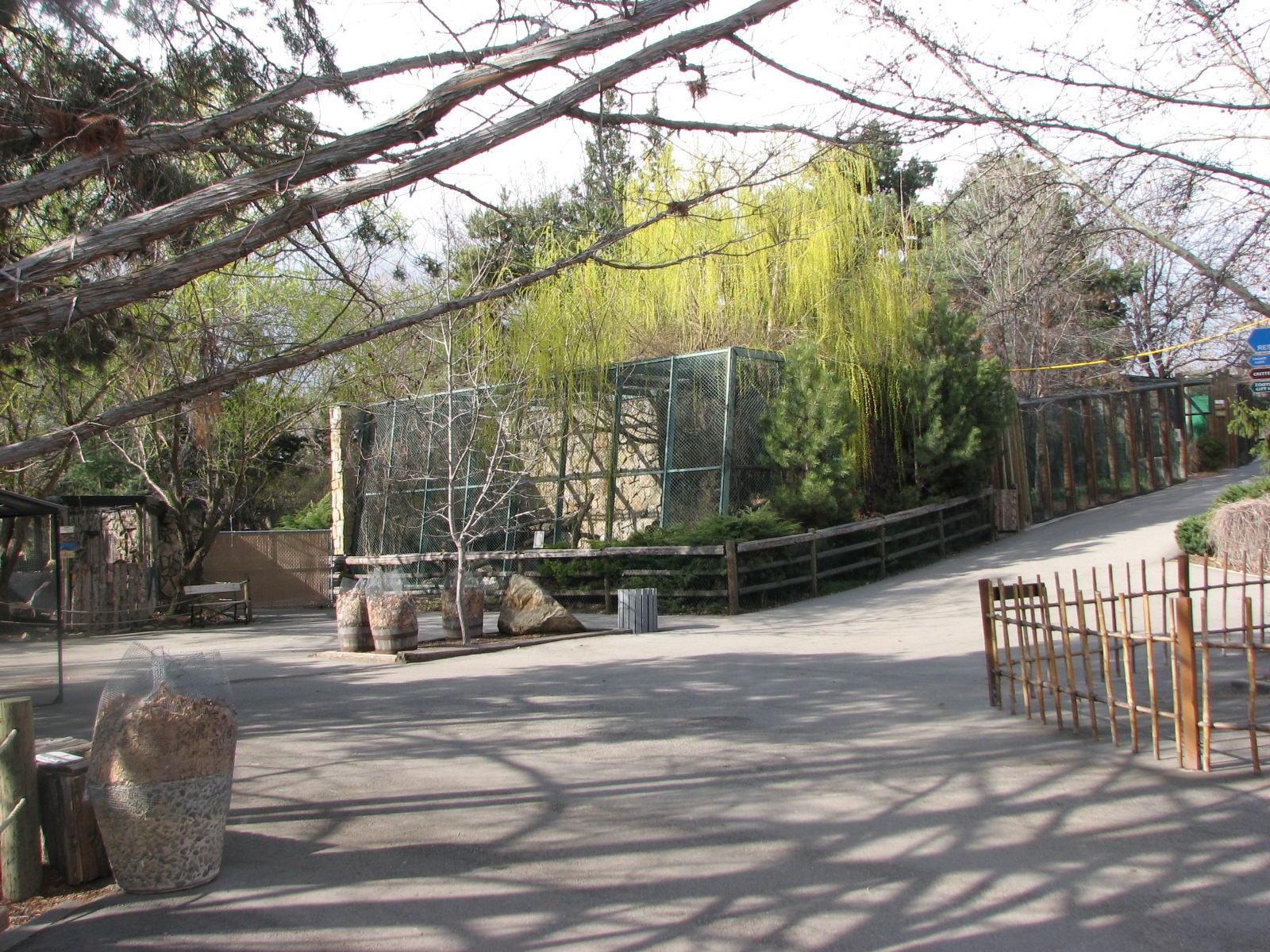 View Towards Amur Leopard Exhibit