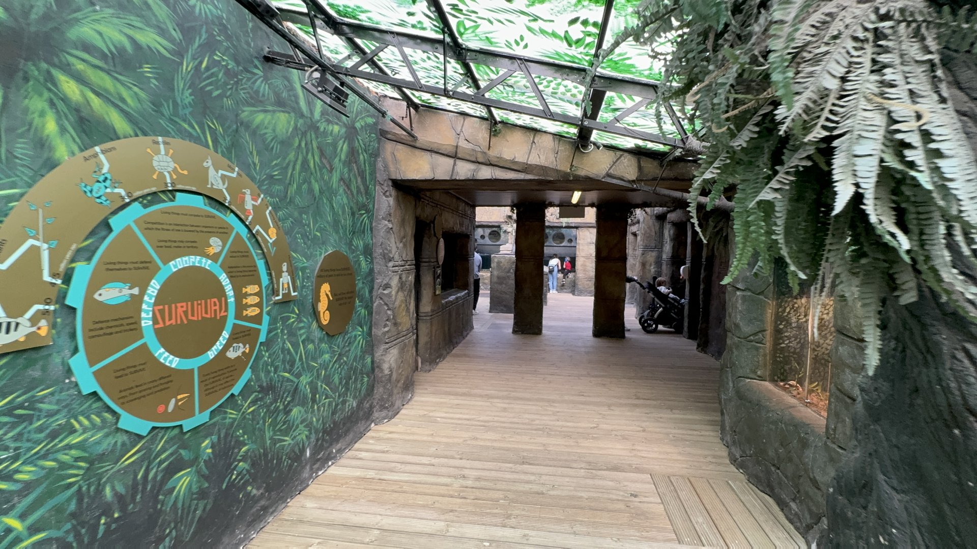 View Towards Aquarium at Tropical World (October 2024)