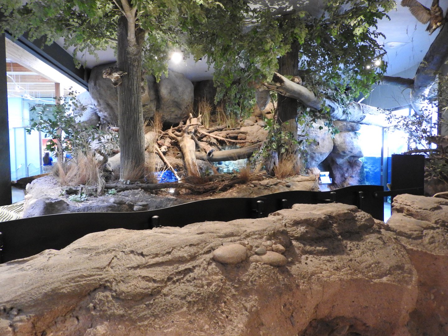 View towards aquariums from River Lab