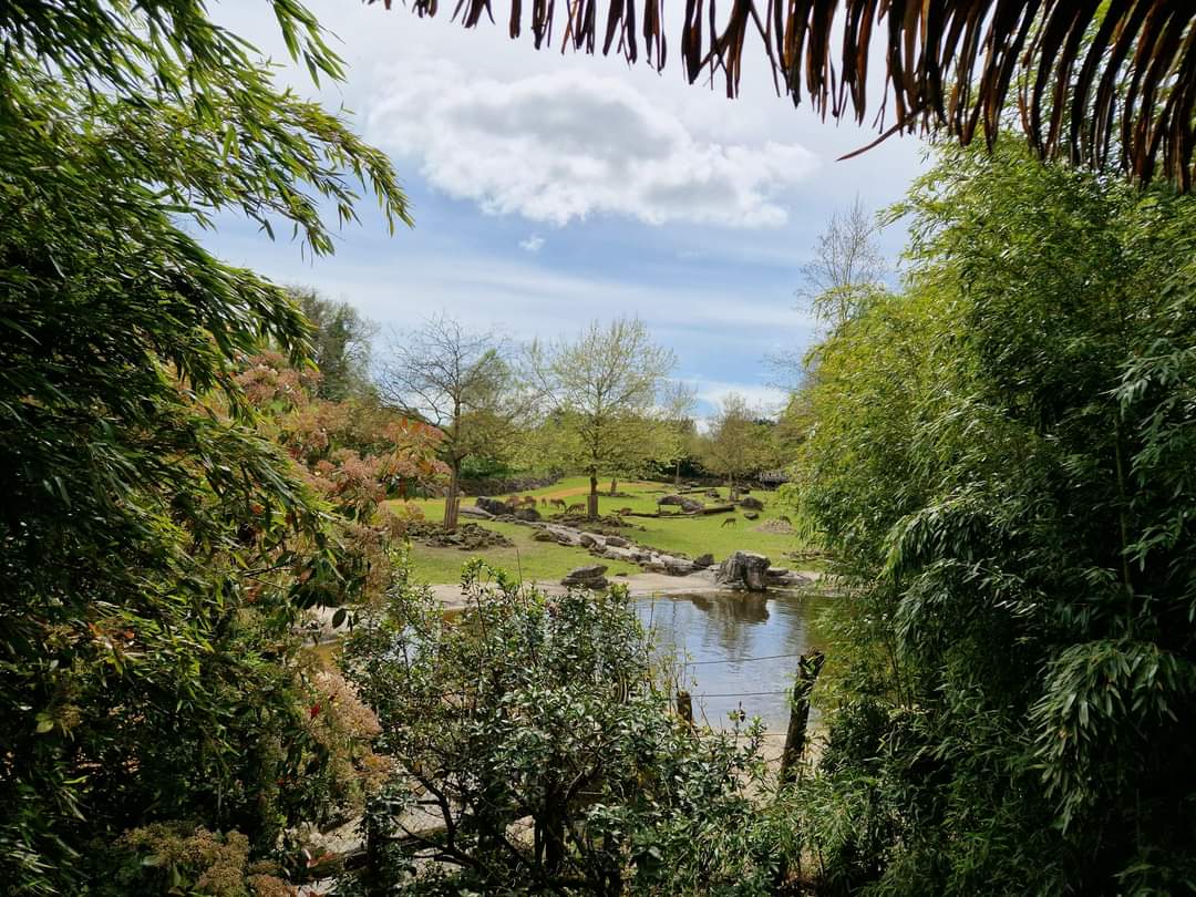 View towards Asian Plains