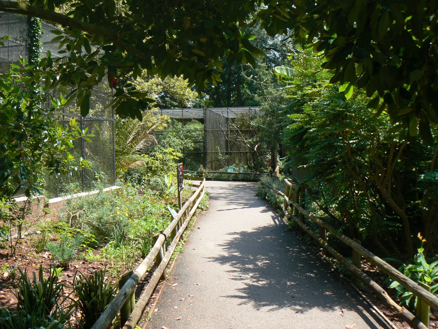 View towards aviaries - 6 July 2018