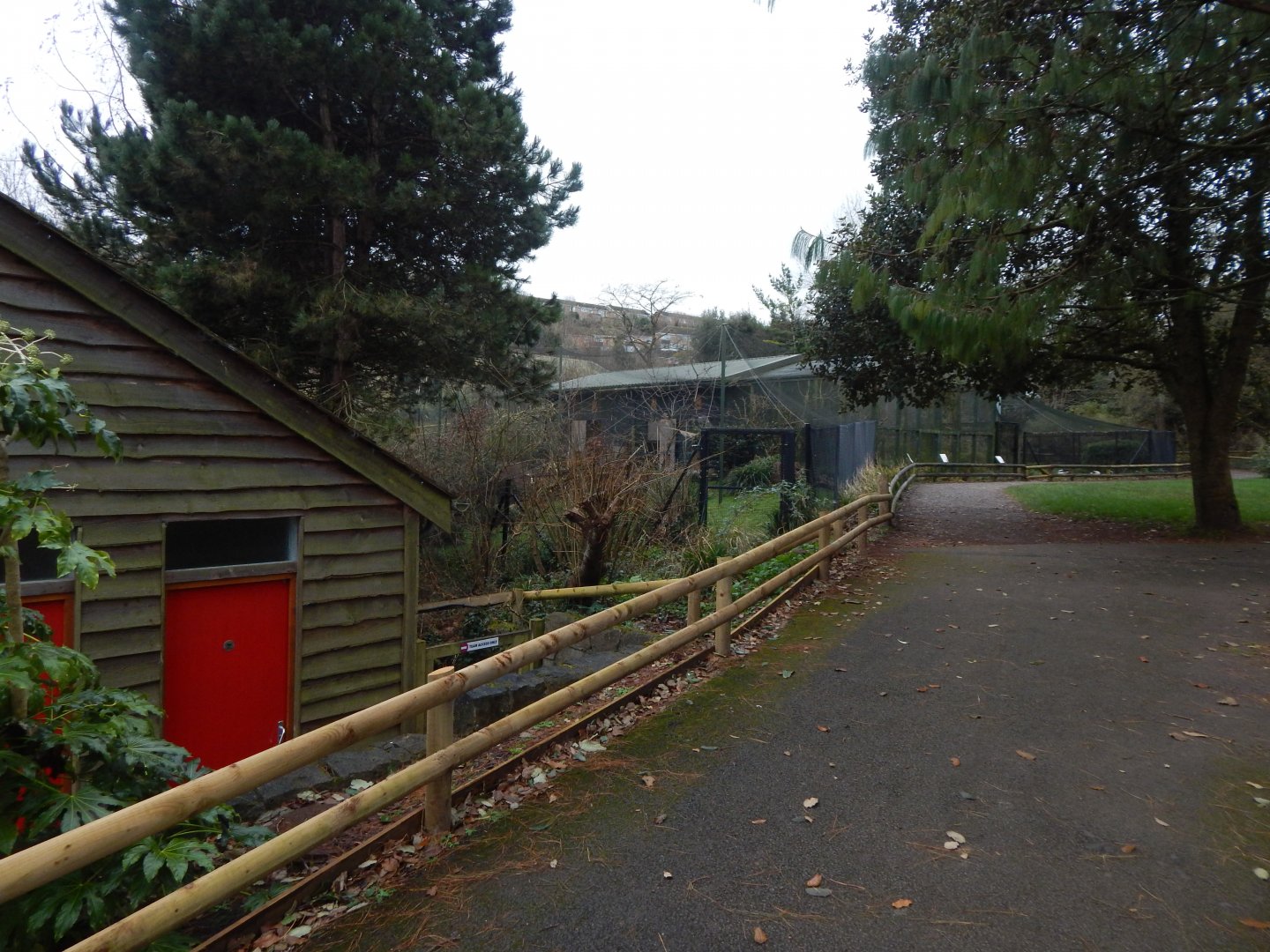 View towards aviaries opposite Avian Breeding Centre 050224