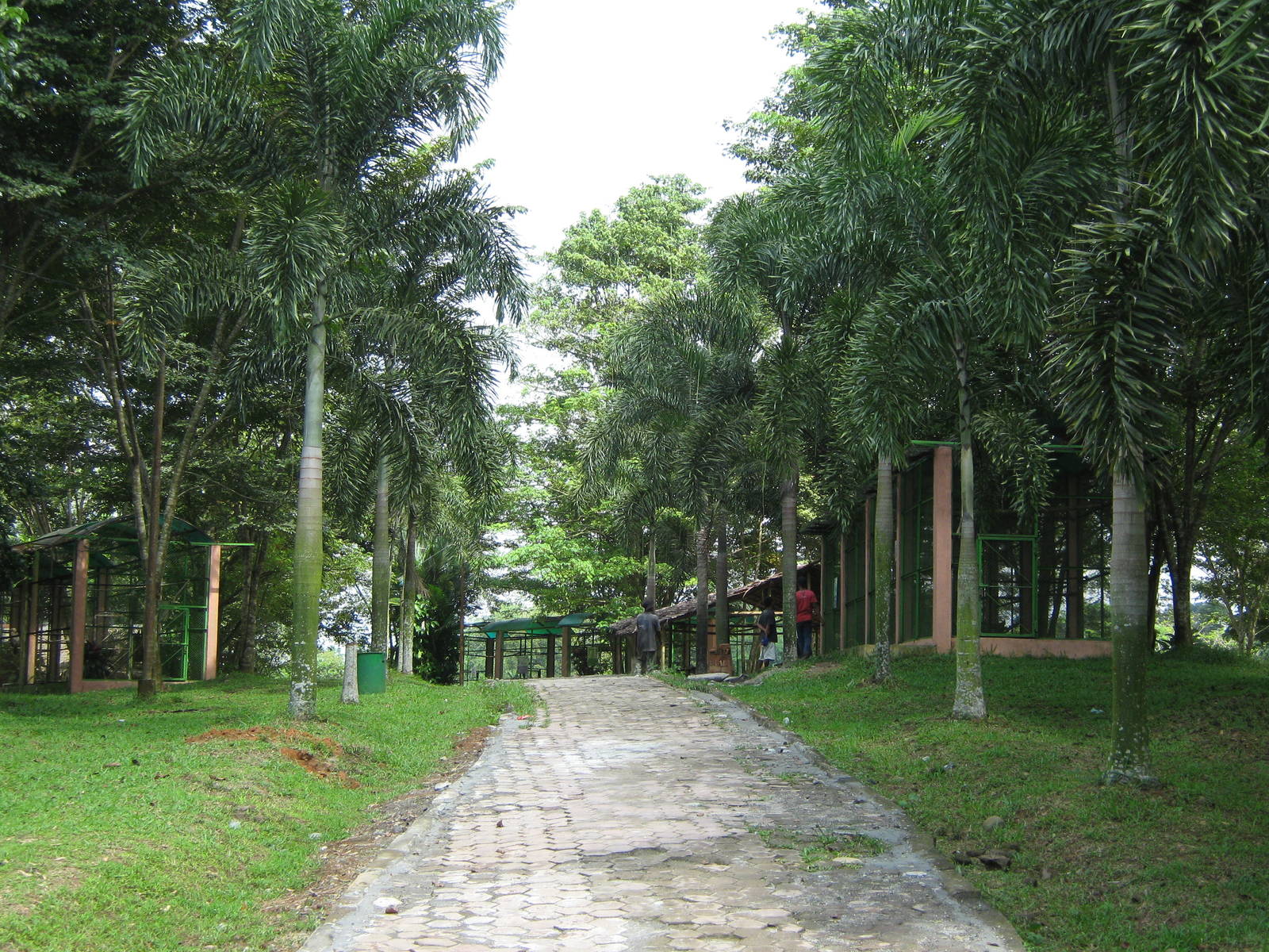 view towards aviaries