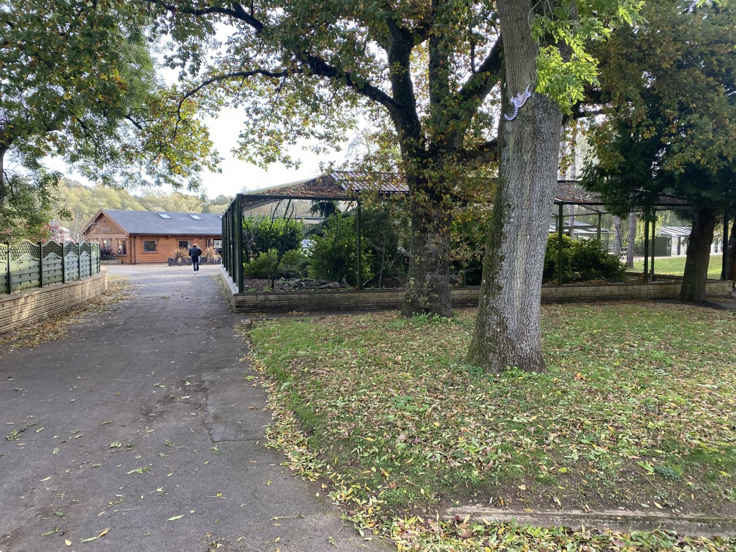 View towards aviary 071121