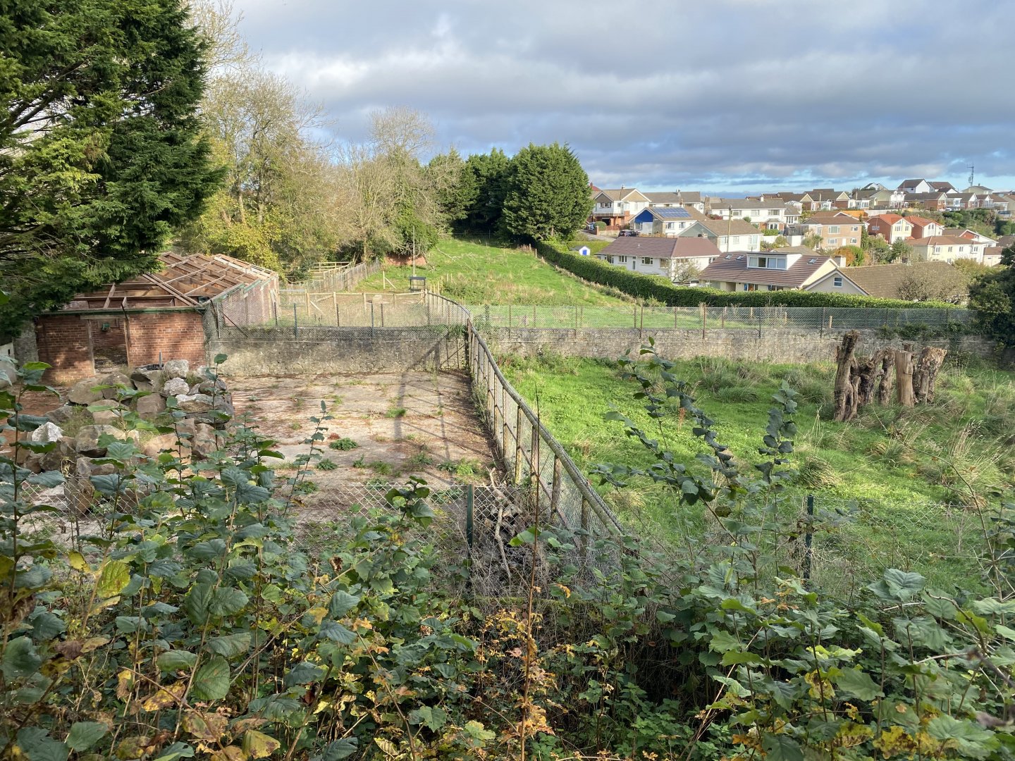 View towards Bactrian camel enclosure 201121