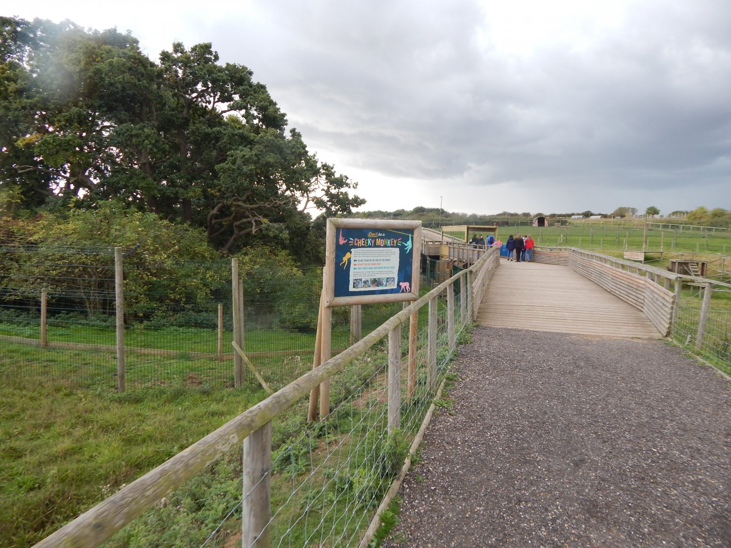 View towards Barbary macaque enclosure 130925