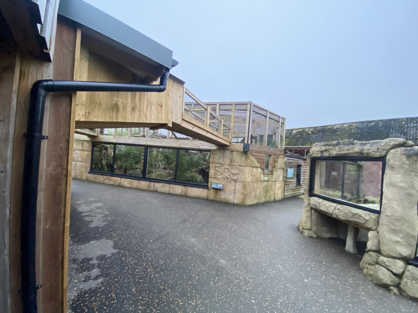 View towards Binturong (left) and Meerkat exhibit 040124